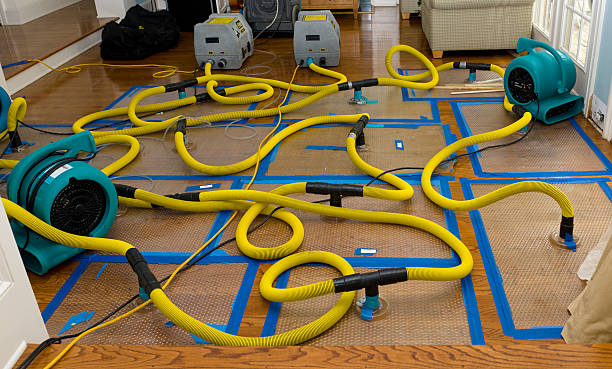 Professional Crawl Space Water Removal technician working in College Corner, OH